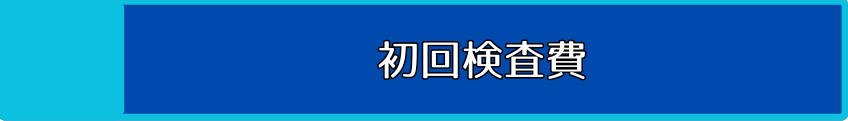 初回検査費