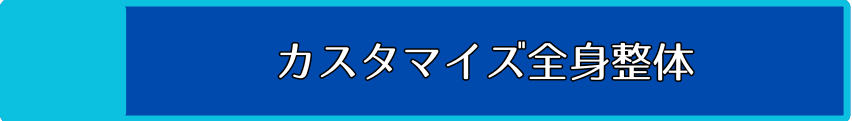 全身カスタマイズ整体