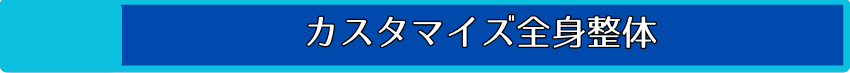 全身カスタマイズ整体