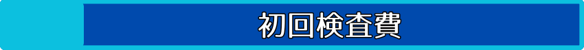 初回検査費
